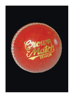 GM Crown Match Ball - NZ Cricket Store